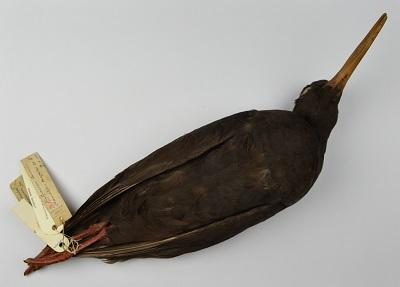 Article Featured Image