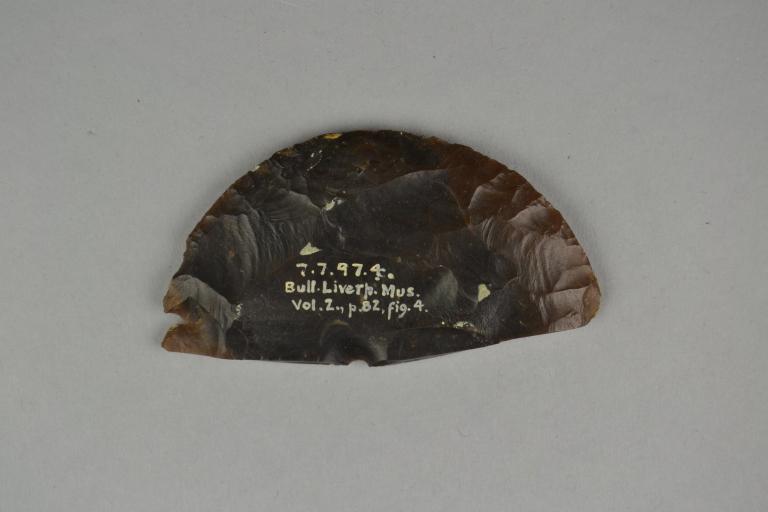 Flint Disc card