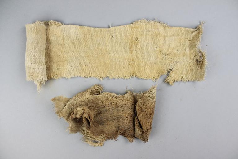 Animal Mummy Wrappings card