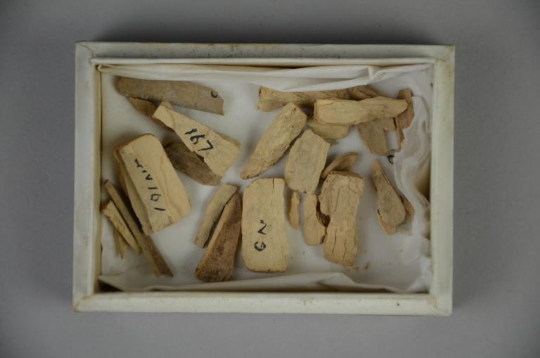 Carved Bone Fragments card