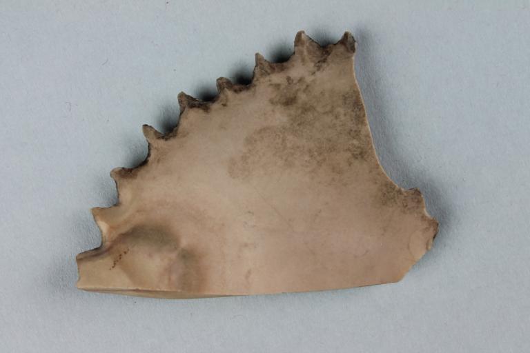 Flint Comb card