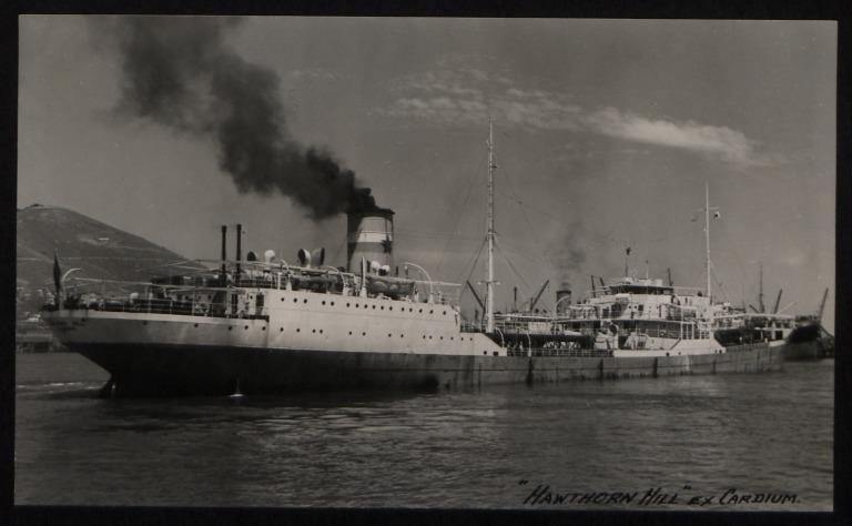 Photograph of Hawthorn Hill (ex Cardium), Counties Ship Management Company card