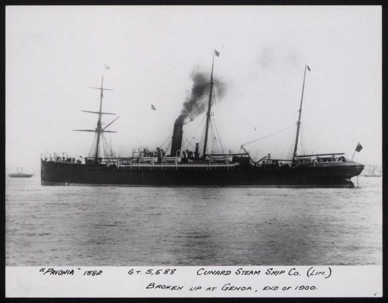 Photograph of Pavonia, Cunard Line card