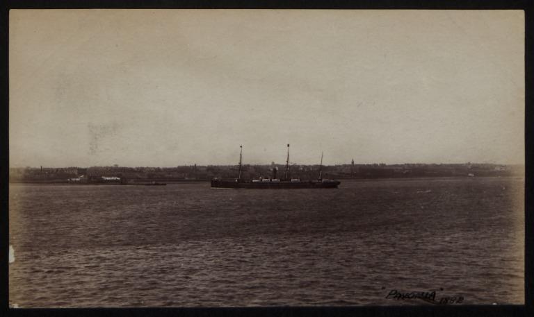 Photograph of Pavonia, Cunard Line card