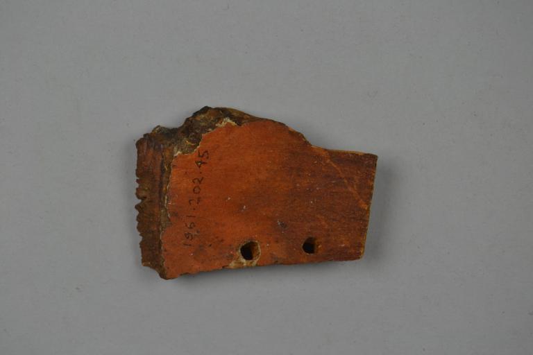 Coffin Fragment card