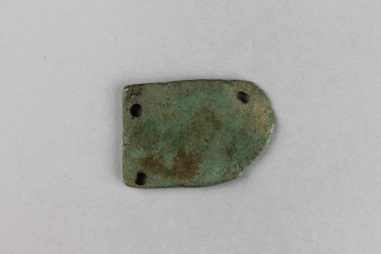 Funerary Scarab Wing card