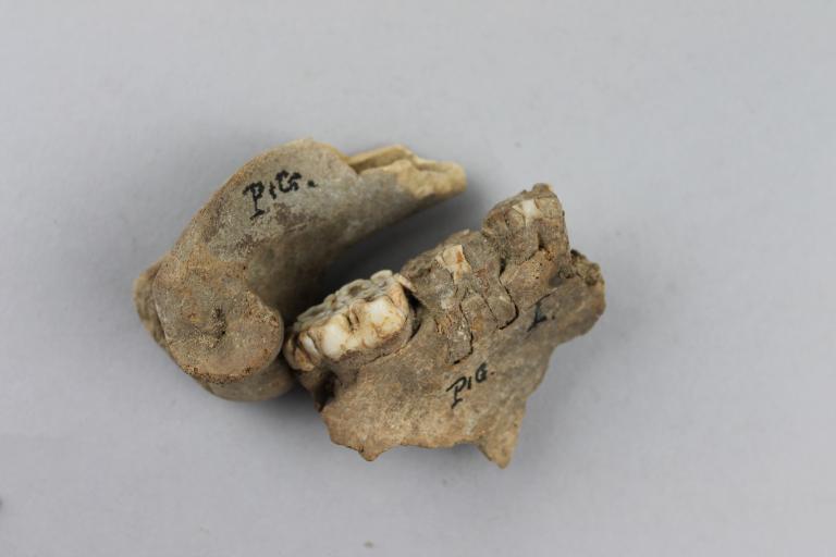 Pig Bones card