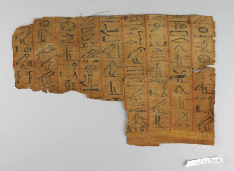 Mummy Shroud card
