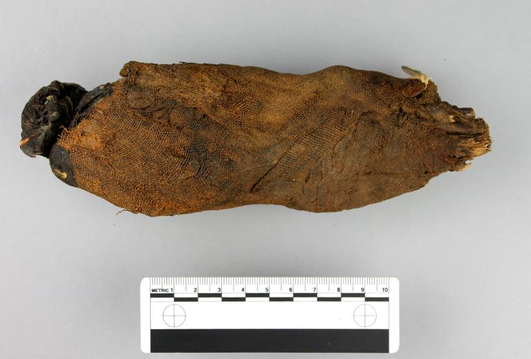 Mummified Falcon card