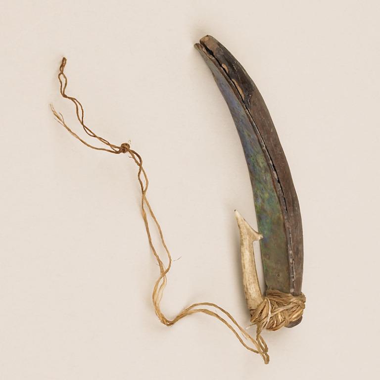 Fish Hook card