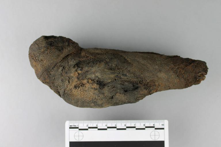 Mummified Falcon card