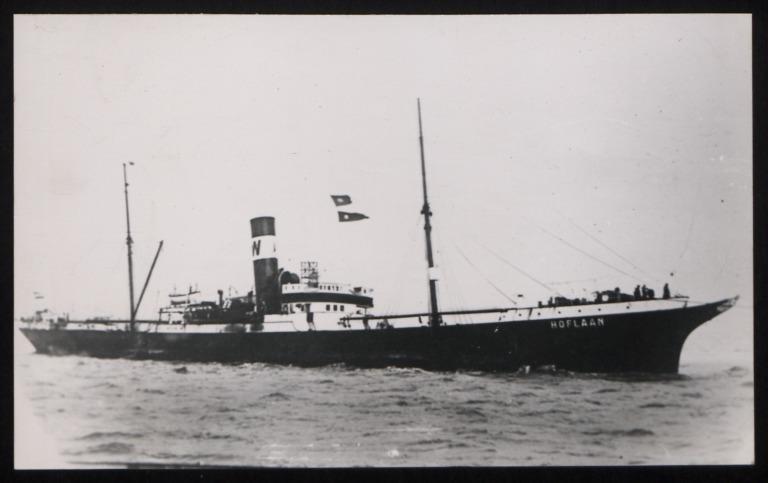 Photograph of Hoflaan (ex Zijldisk, Runo), N V Stoomschip "eenambt" card