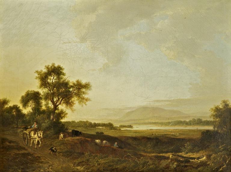 View on the Clyde card