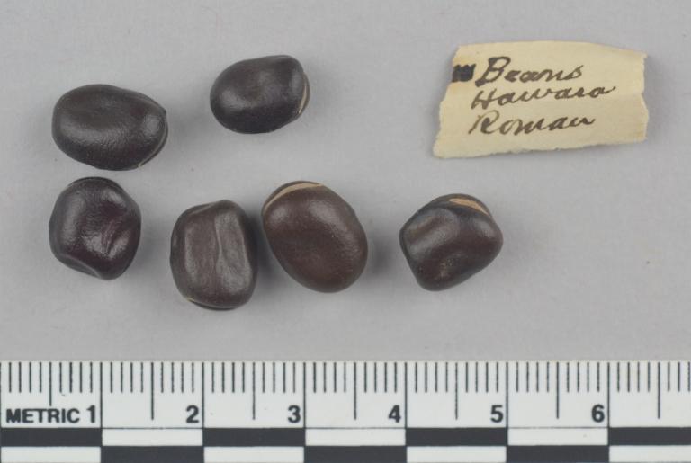 Beans card