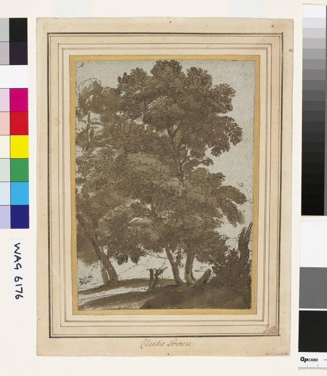 Study of Trees, with Two Figures card