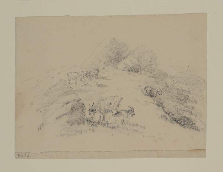Moorland with Goats card