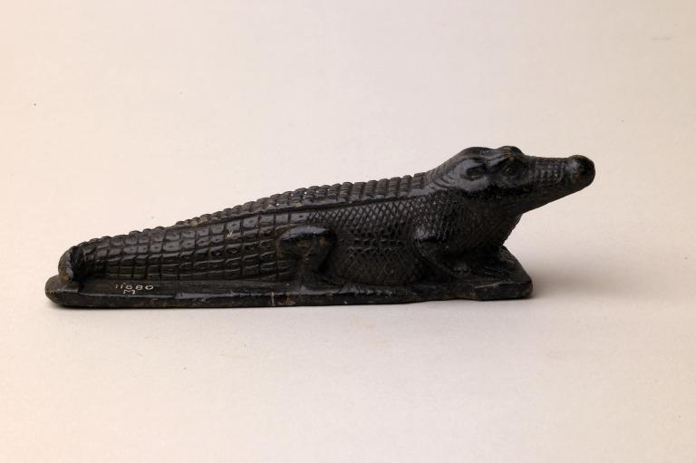 Crocodile Figure card