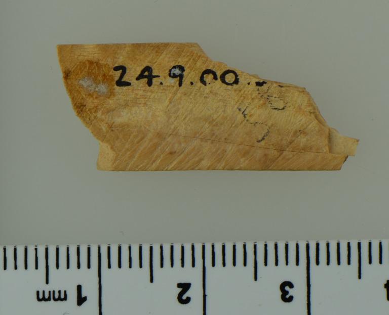 Furniture Inlay card