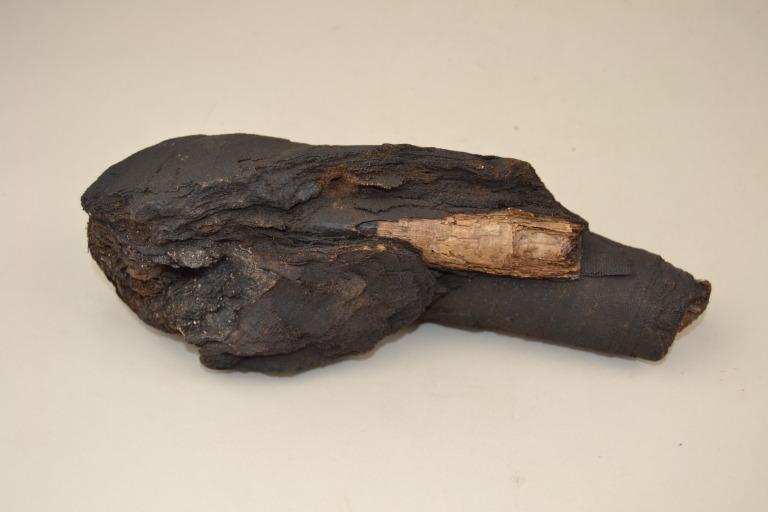 Human Remains; Mummifed Arm with Papyrus Roll card