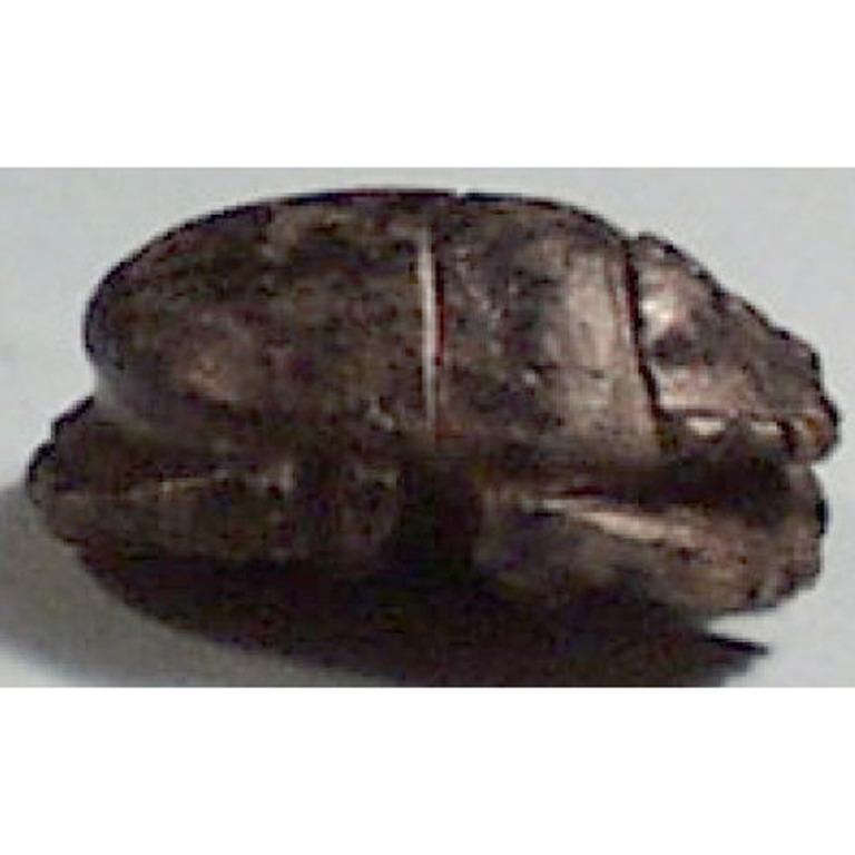 Naturalistic Scarab card