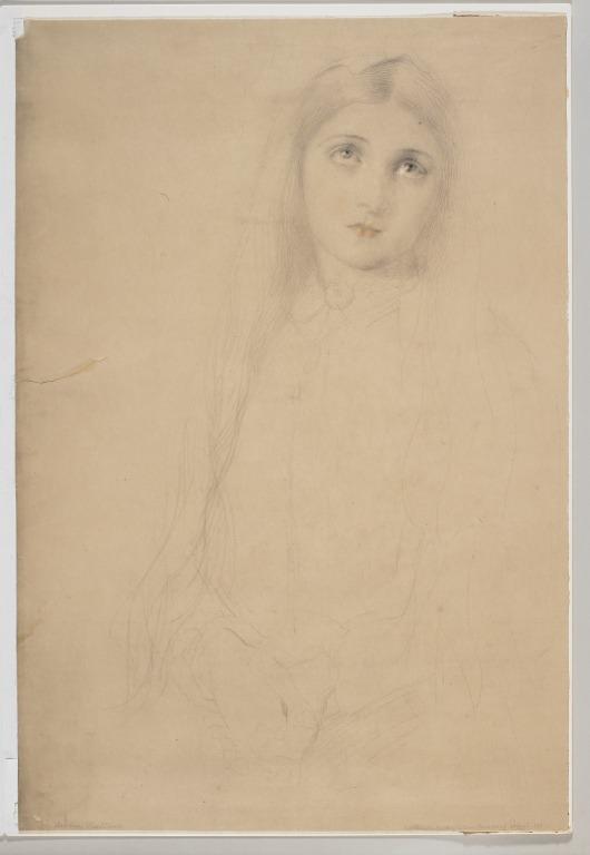 Amelia Fleetwood card