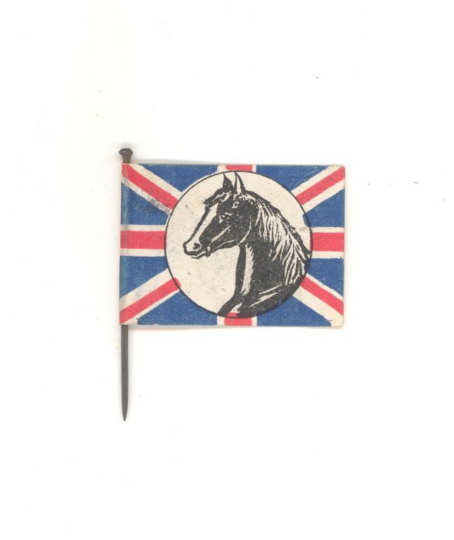 RSPCA horse flag card