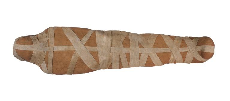 Human Remains; Mummy of Padiamun card