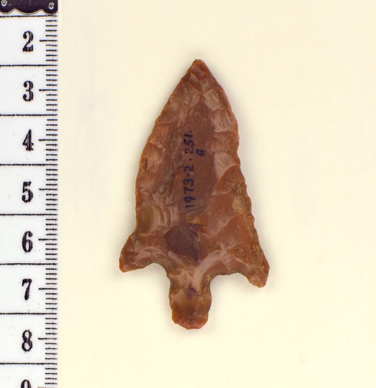 Arrowhead card