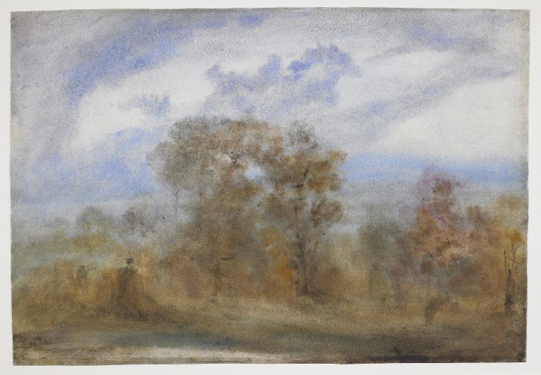 Brown Autumn (Recto); Trees Study (Verso) card