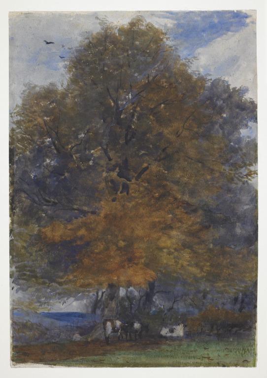 Autumn, Chestnut Tree and Cattle card