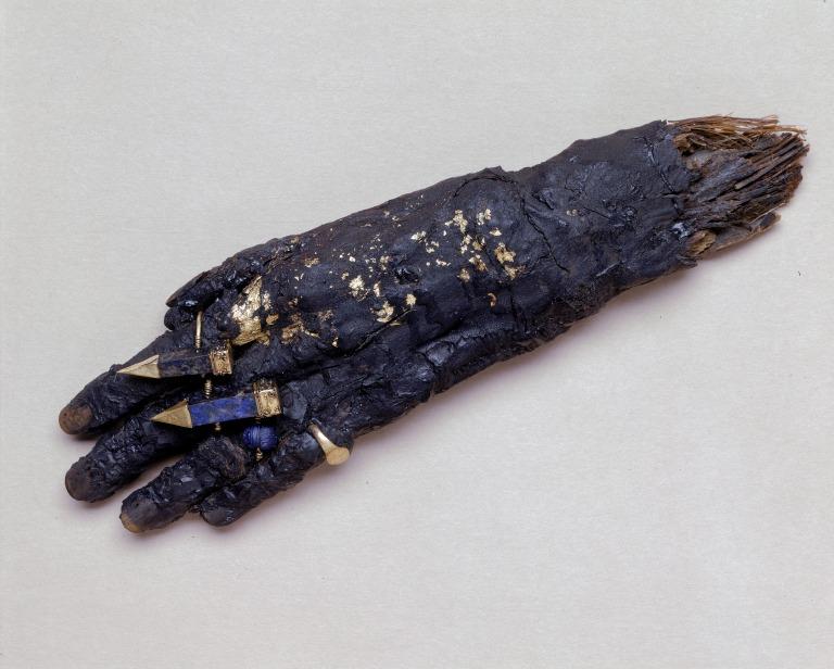 Human Remains; Mummified Hand with Four Rings card