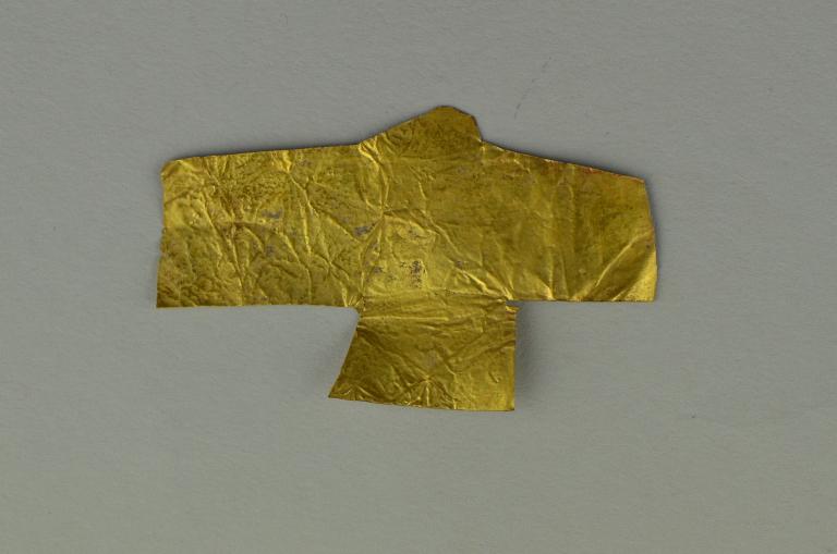 Gold Foil Hawk card