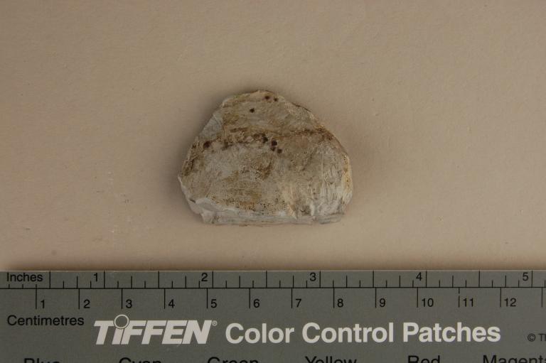 Relief Fragment card