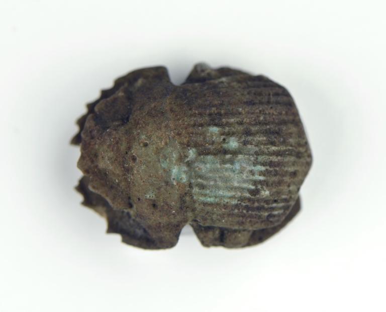 Naturalistic Scarab card