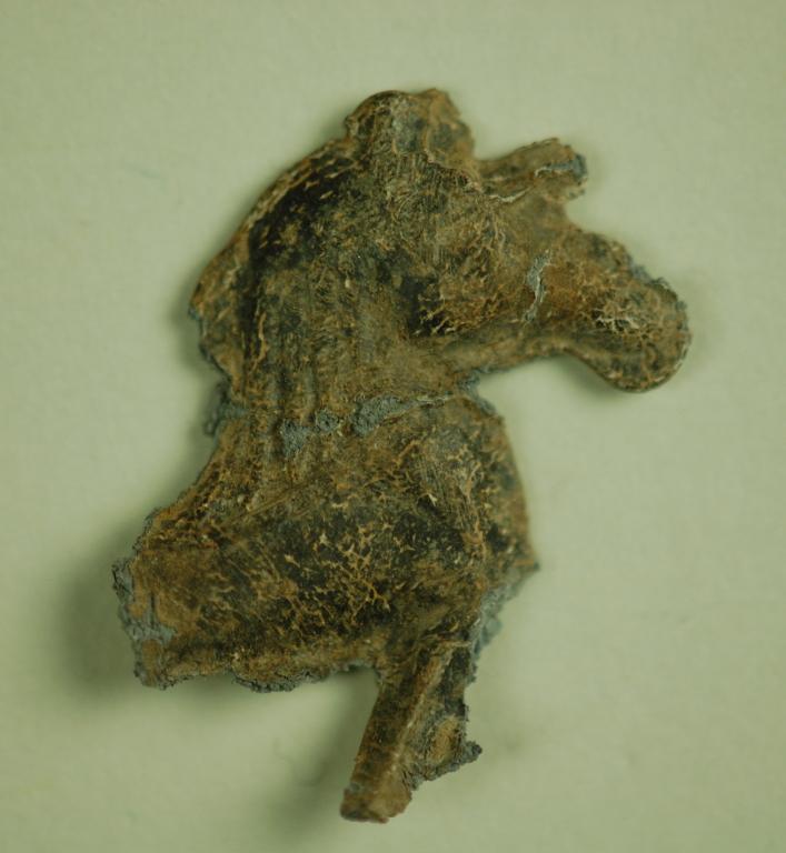 Fragment of horse card