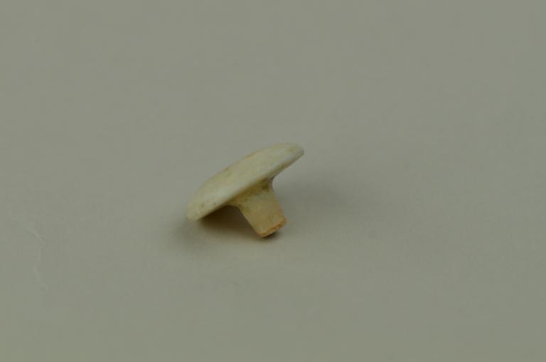 Ear Ornament card