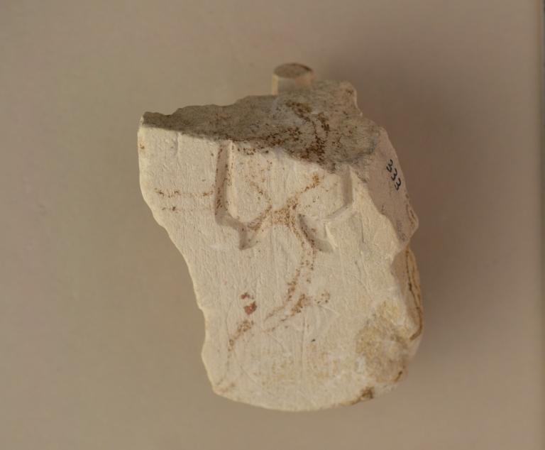 Mould Fragment card