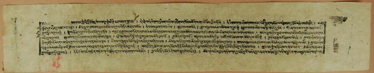 artifact photograph