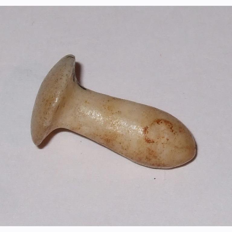 Ear Stud card