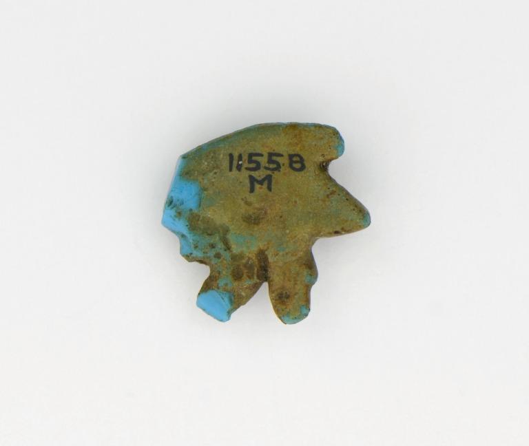 artifact photograph