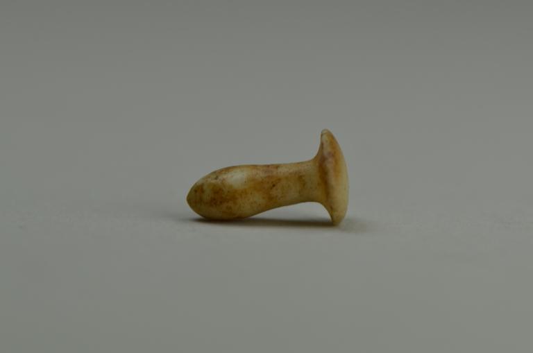 artifact photograph