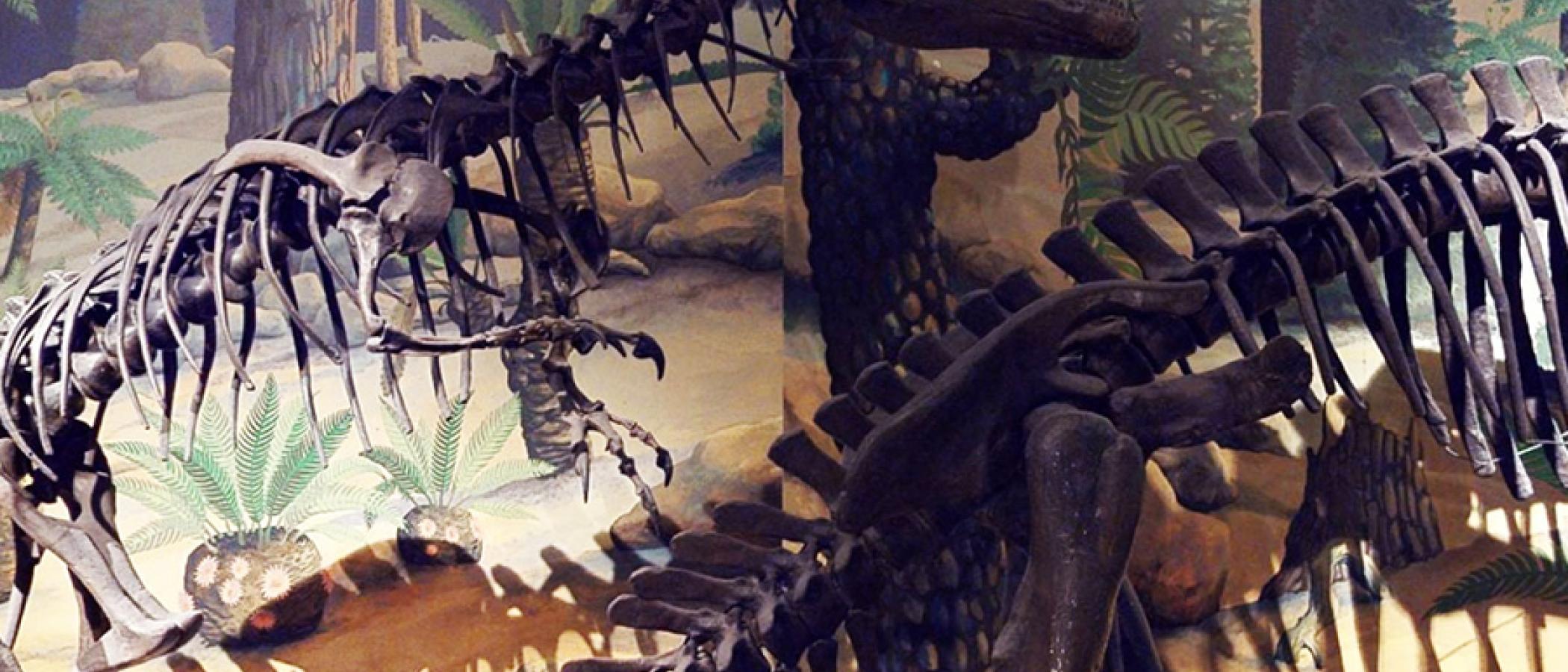 Event Banner Image