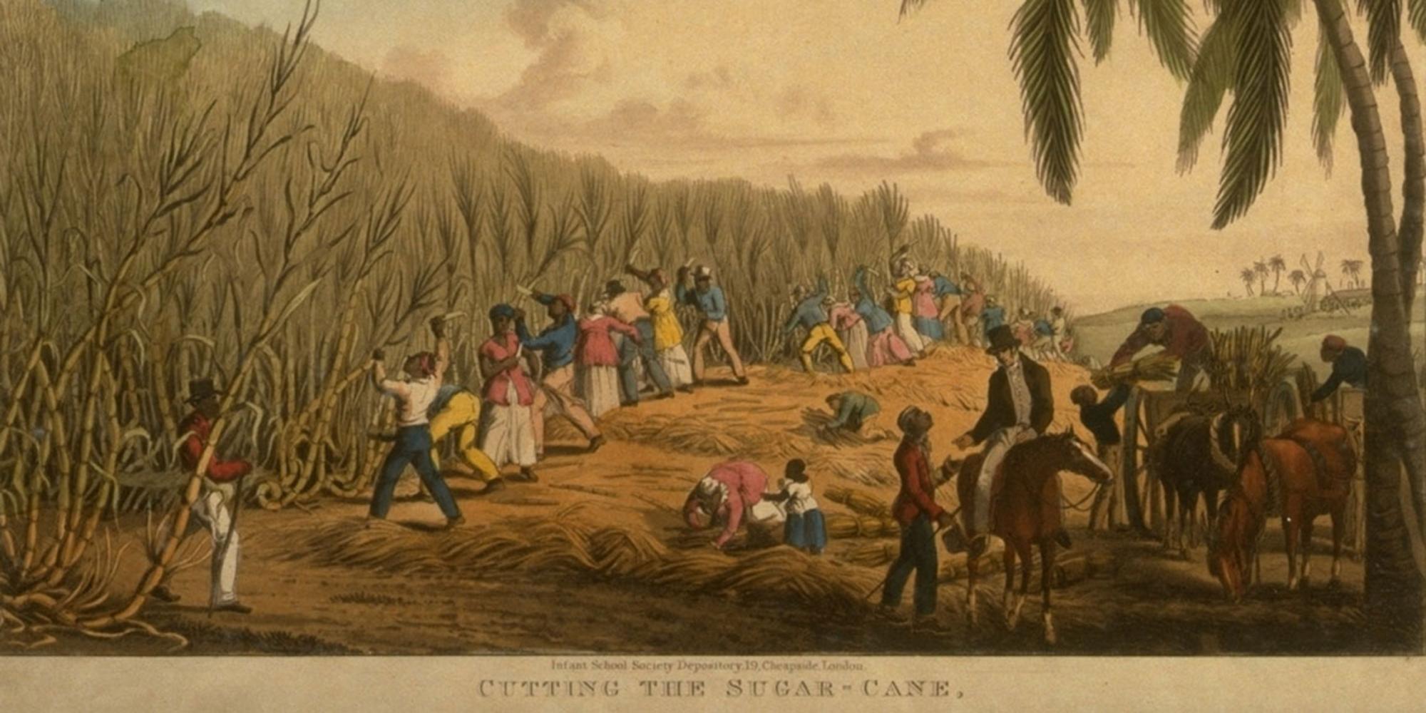 Slavery in the Caribbean  National Museums Liverpool