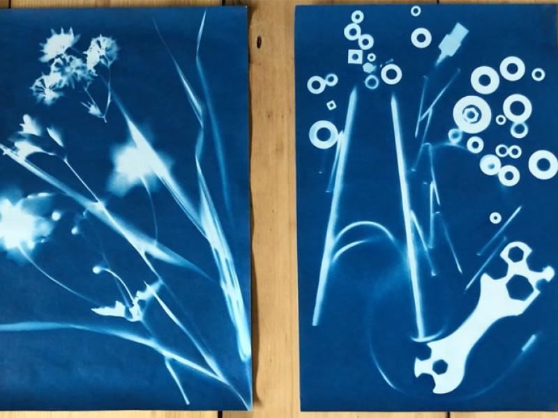Cyanotype prints for beginners