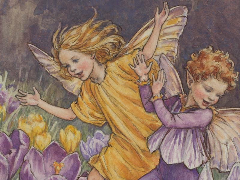 Flower Fairies TM | National Museums Liverpool