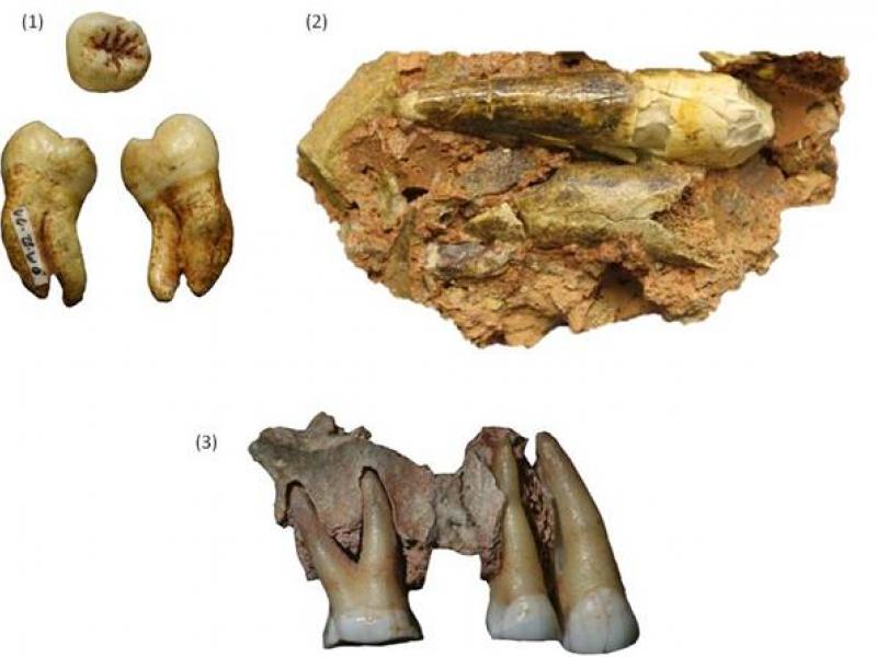 Oldest Human Remains Found In Europe