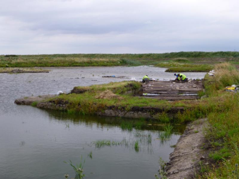 Lunt Meadows questionnaire | National Museums Liverpool