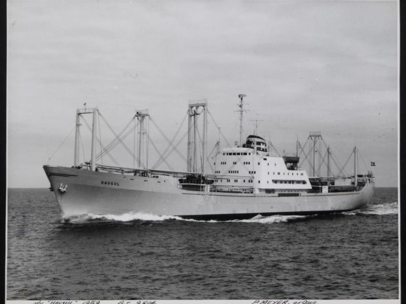 Photograph of Havsul, P Meyer | National Museums Liverpool