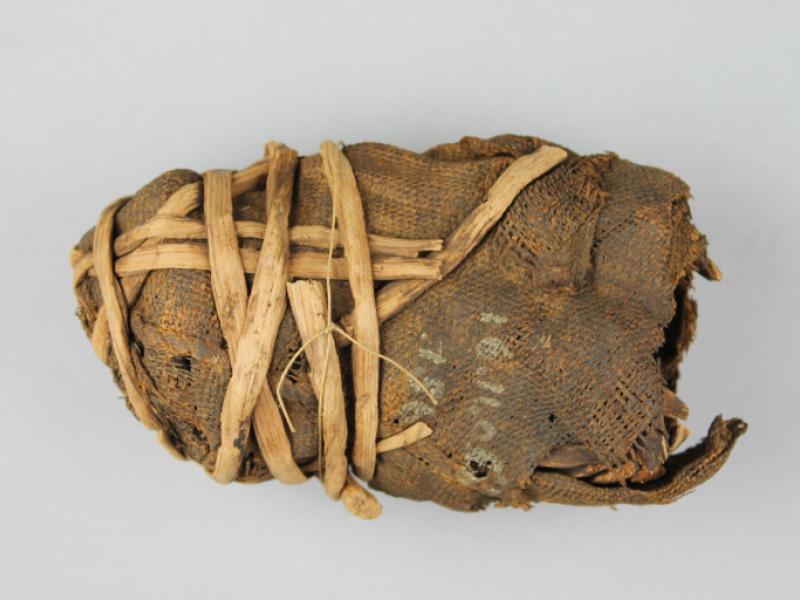 Mummified Crocodile Egg | National Museums Liverpool