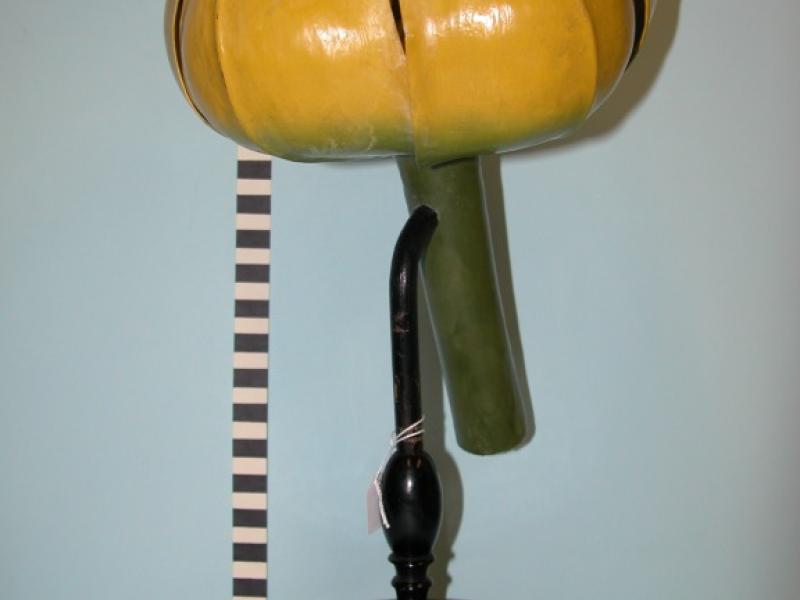 Nuphar lutea | National Museums Liverpool